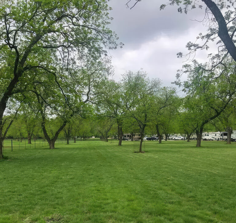 Johnson Creek RV Resort & Park RV park in Kerrville, TX (photo 3)